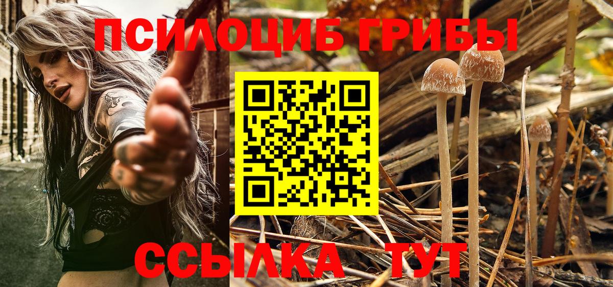 Галлюциногенные грибы мицелий  как найти закладки  Комсомольск-на-Амуре  Галлюциногенные грибы Magic Shrooms  Вход с VPN 